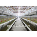 The Roof Broiler Chicken Cage Supply con Free Design Chicken House